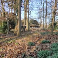 Beeldhouw 4-daagse