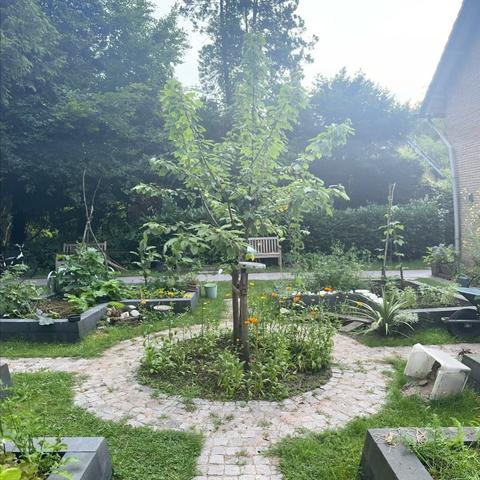 Kruidenworkshop: Kruidenthee maken