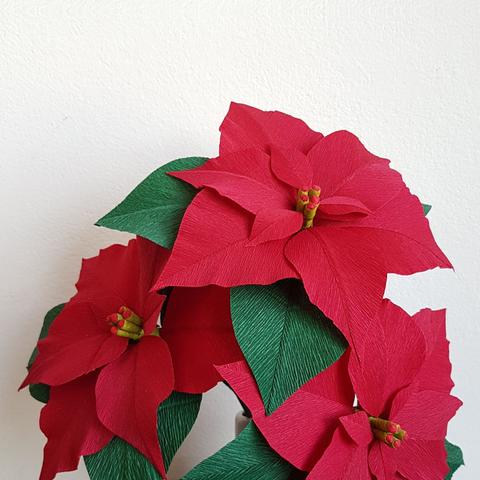 Workshop Poinsettia van Crêpepapier