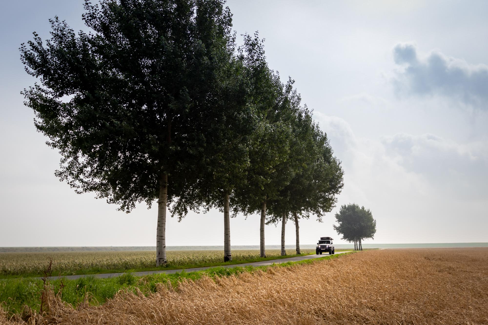 Fotoworkshop Groninger wad en landschap — foto 1
