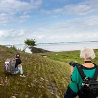 Fotoworkshop Groninger wad en landschap