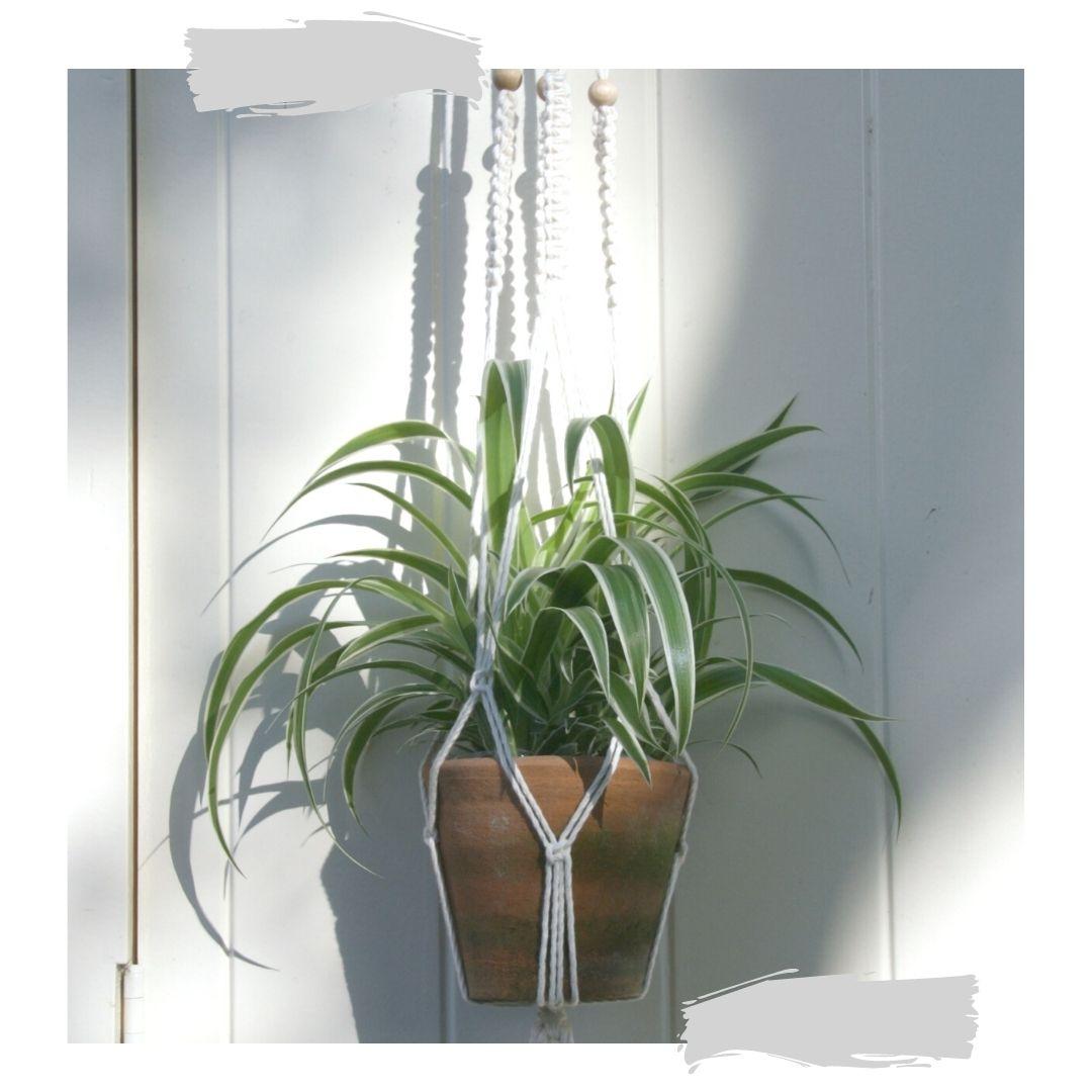 Macramé plantenhanger — foto 1