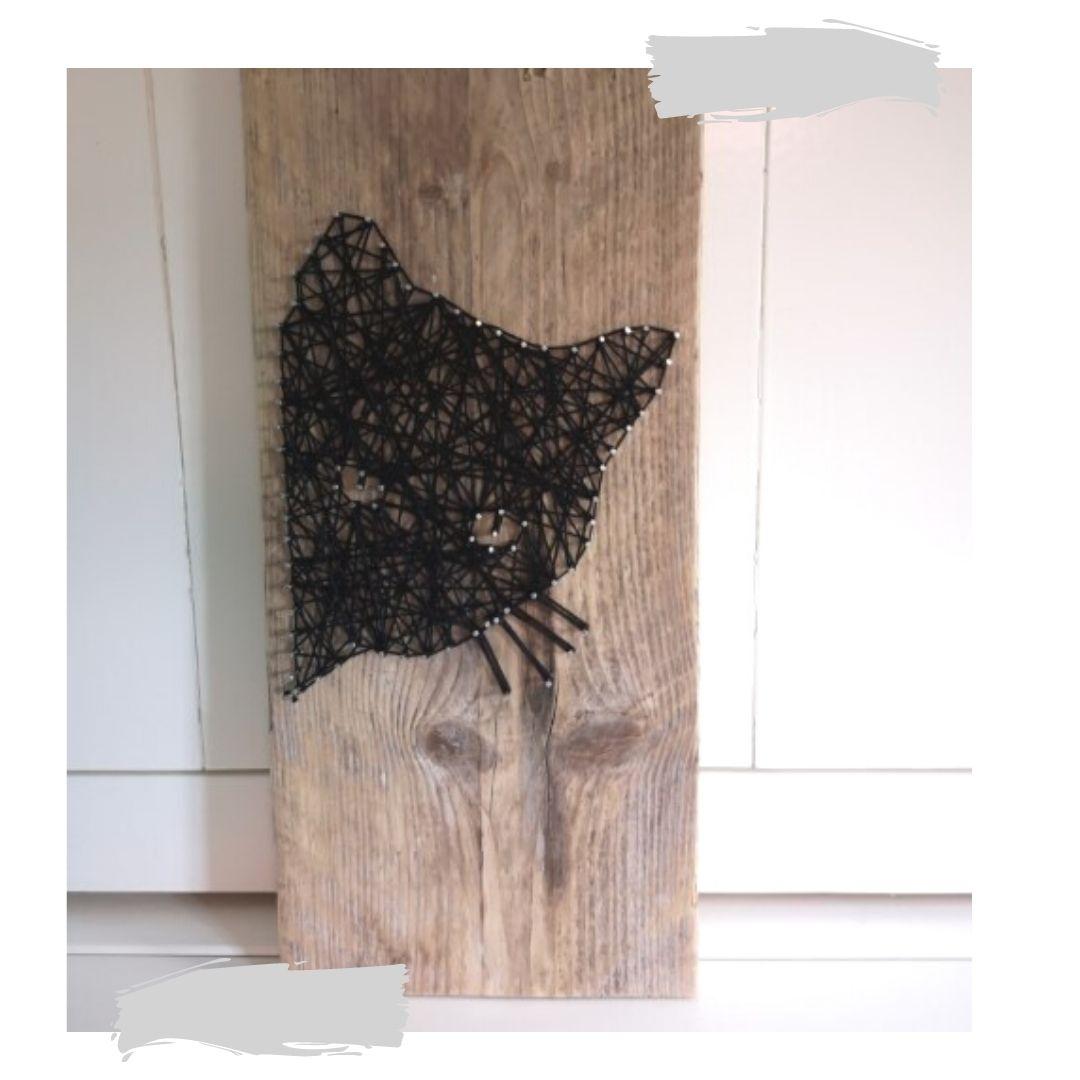 Spijkerkunst of String Art — foto 1