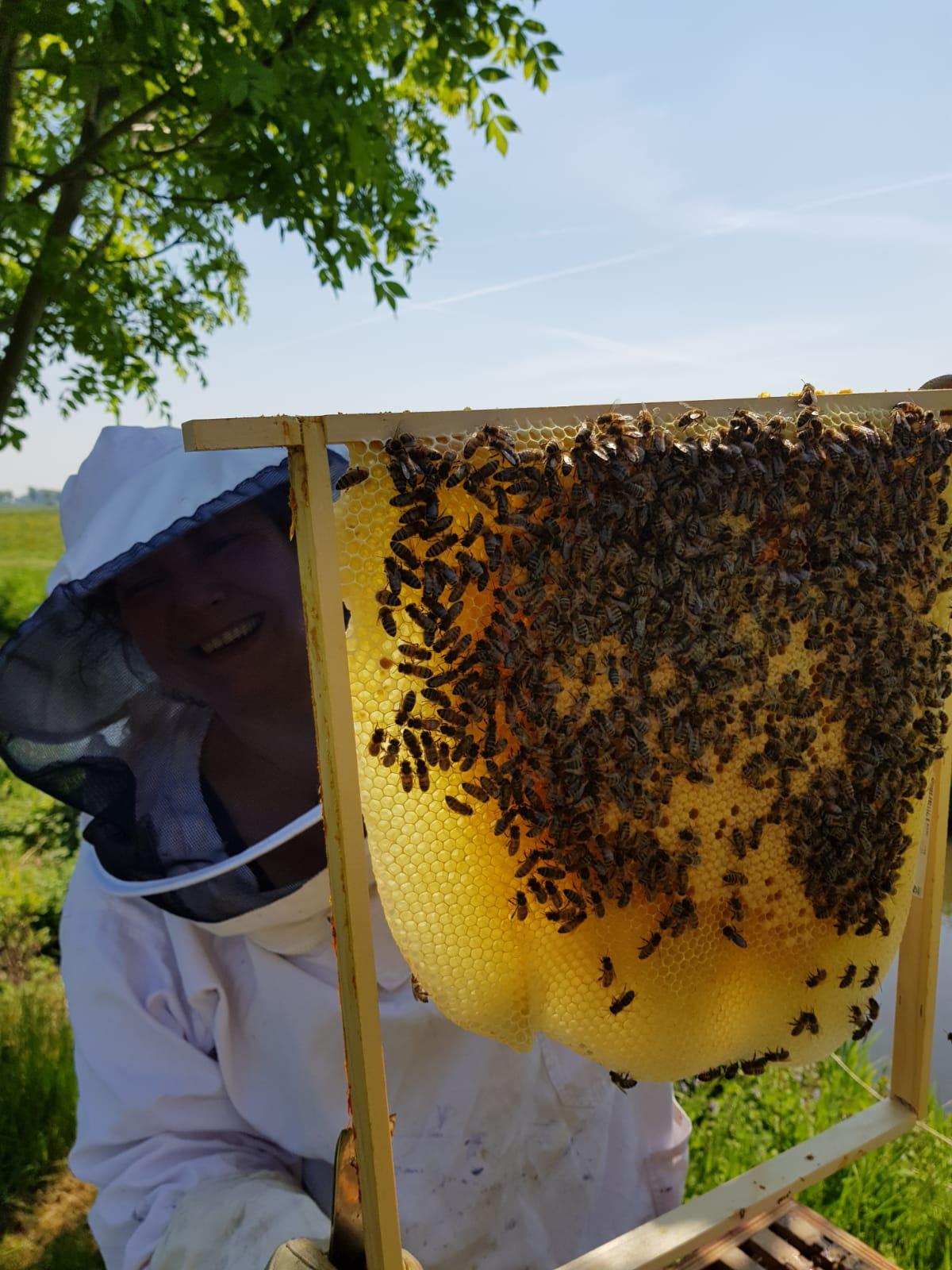 Basiscursus Natuurlijk Imkeren — foto 2
