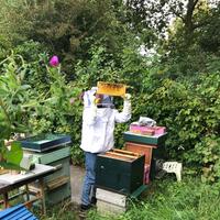 Basiscursus Natuurlijk Imkeren