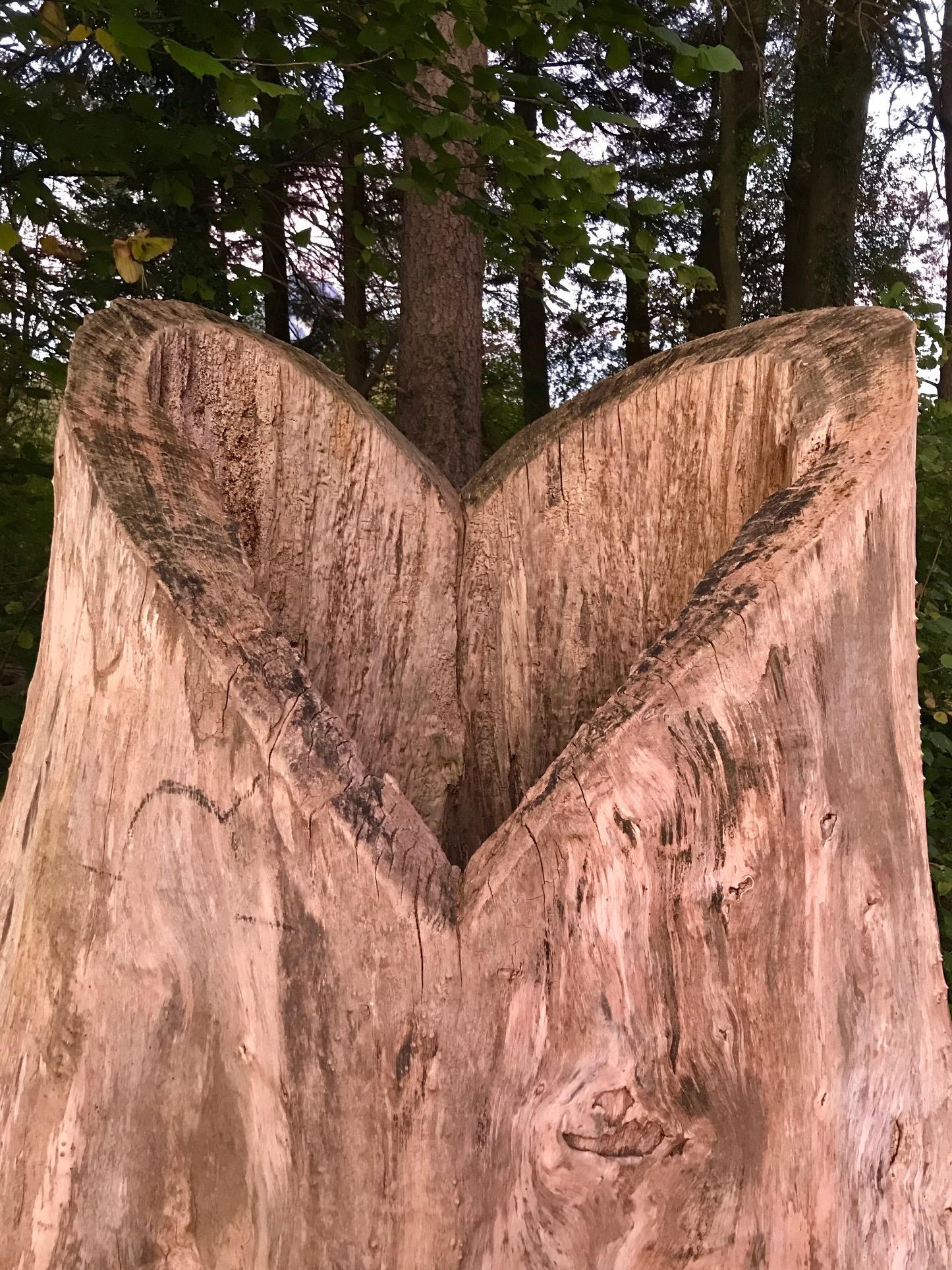 Sjamanistische Quest Wandeling — foto 2