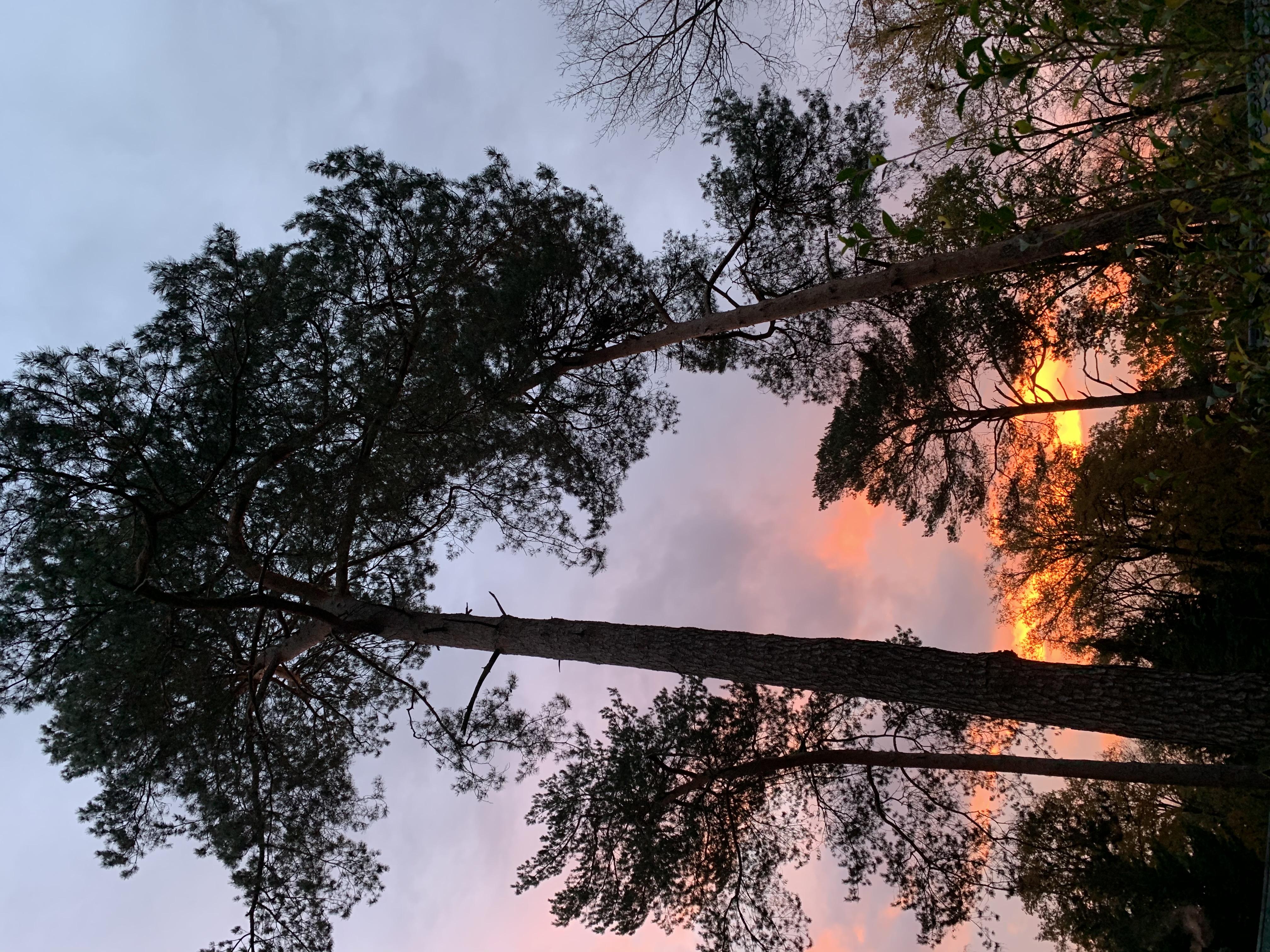 Sjamanistische Quest Wandeling — foto 3