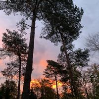 Sjamanistische Quest Wandeling