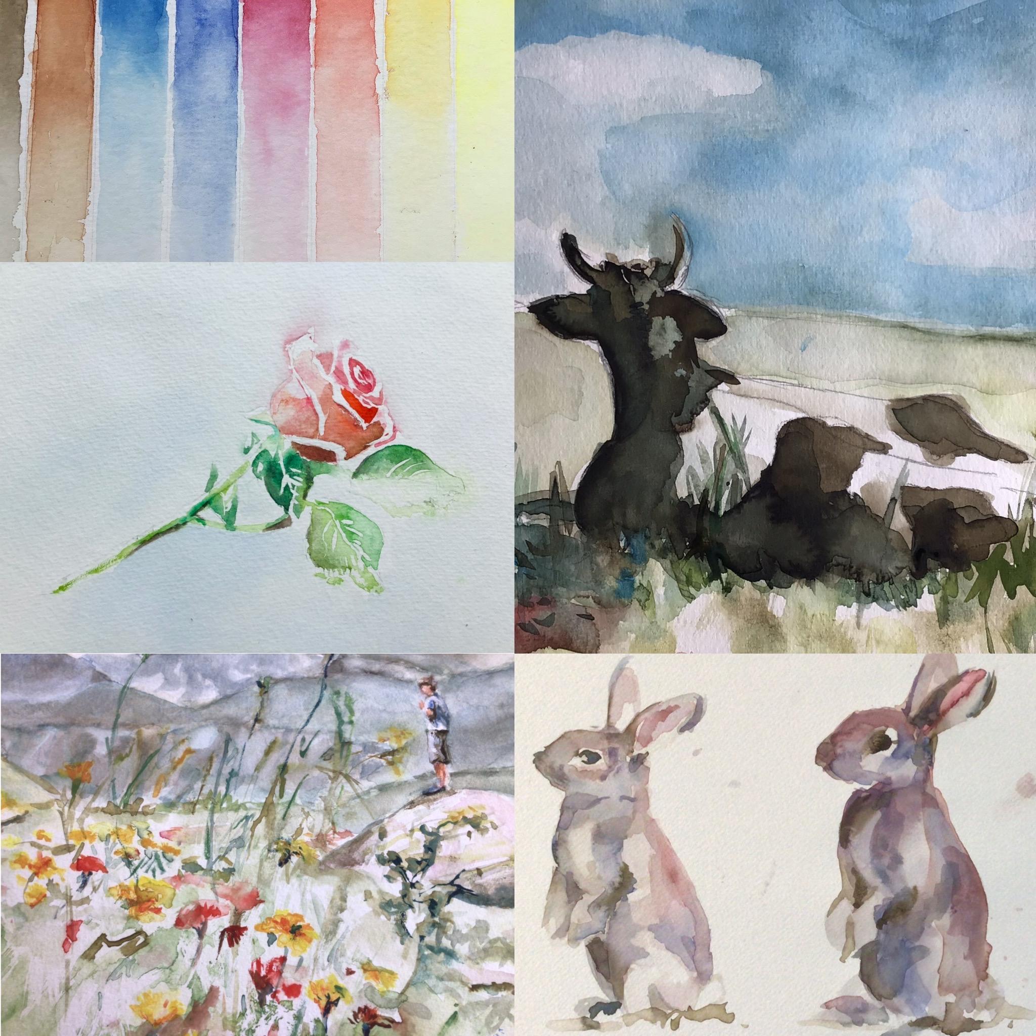 online cursus aquarelleren 25 euro — foto 1