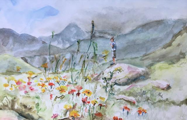 online cursus aquarelleren 25 euro — foto 3