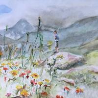 online cursus aquarelleren 25 euro