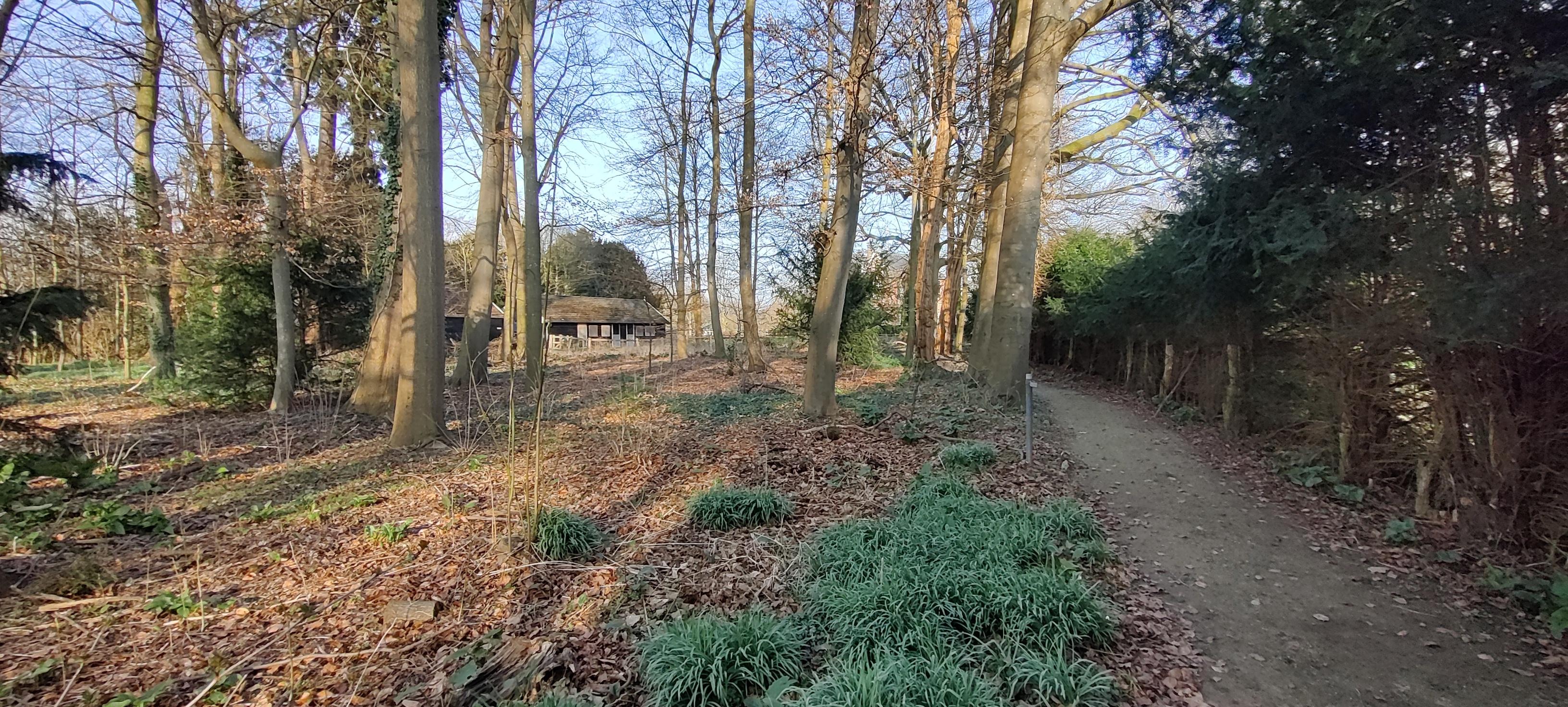 Beeldhouw 4-daagse — foto 2
