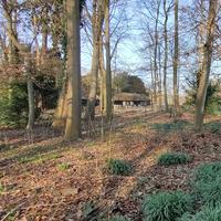 Beeldhouw 4-daagse