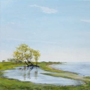 Cursus tekenen & schilderen start 5 dec.