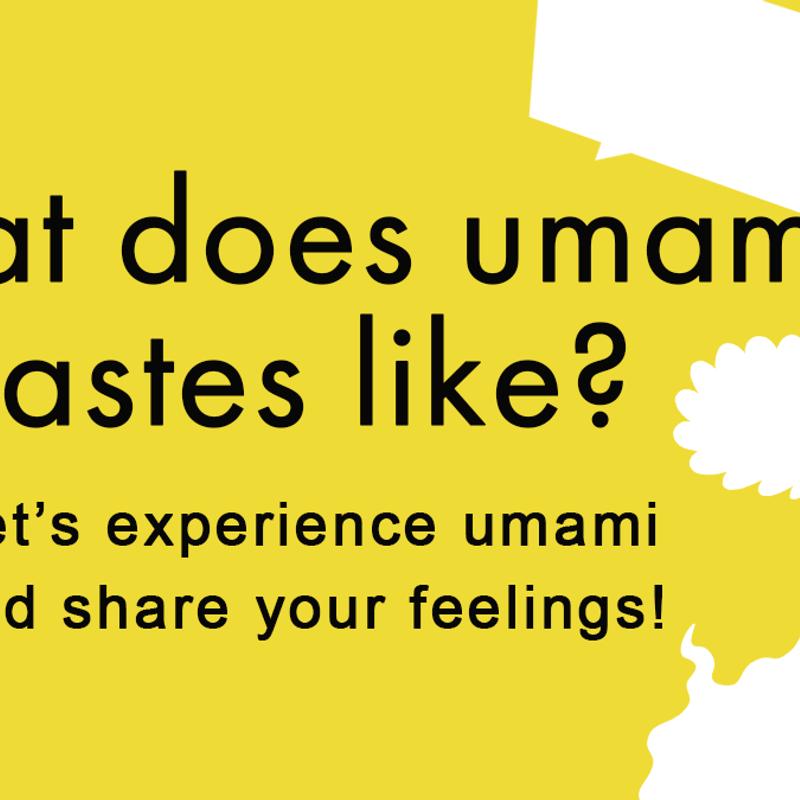 Umami tasting in Rotterdam