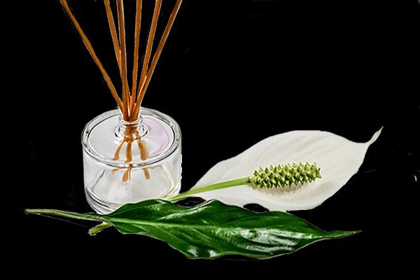 Workshop creëer je eigen Parfum — foto 1