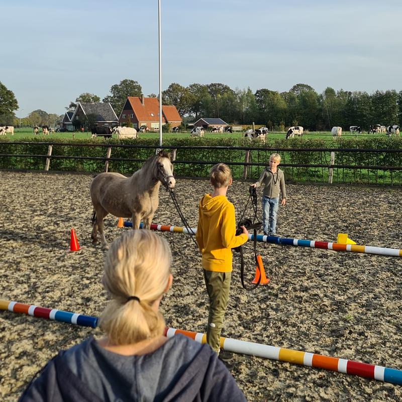 Kindercoaching met paarden I Kennismaking cursus 4 - 6 personen
