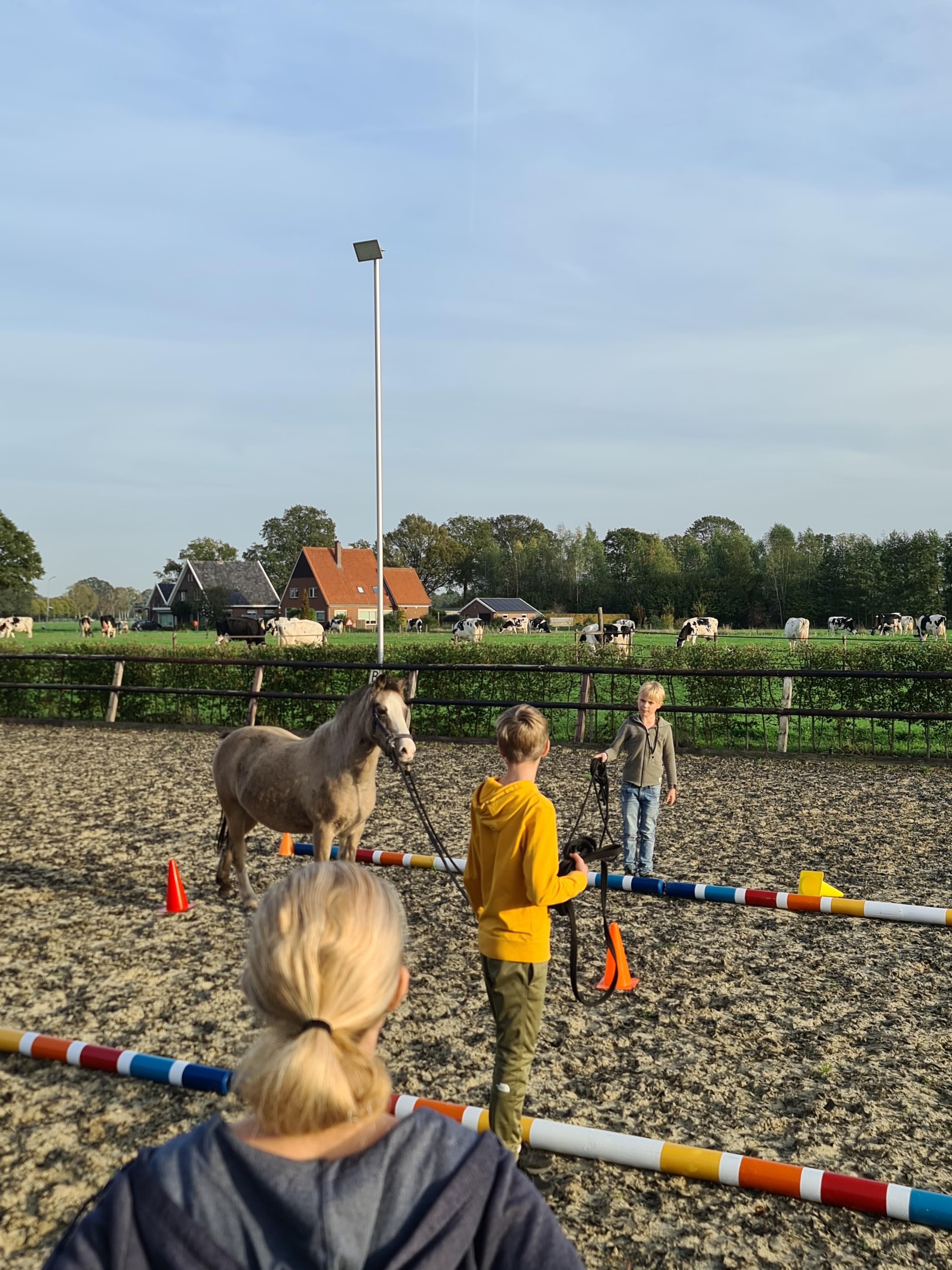 Kindercoaching met paarden I Kennismaking cursus 4 - 6 personen — foto 1