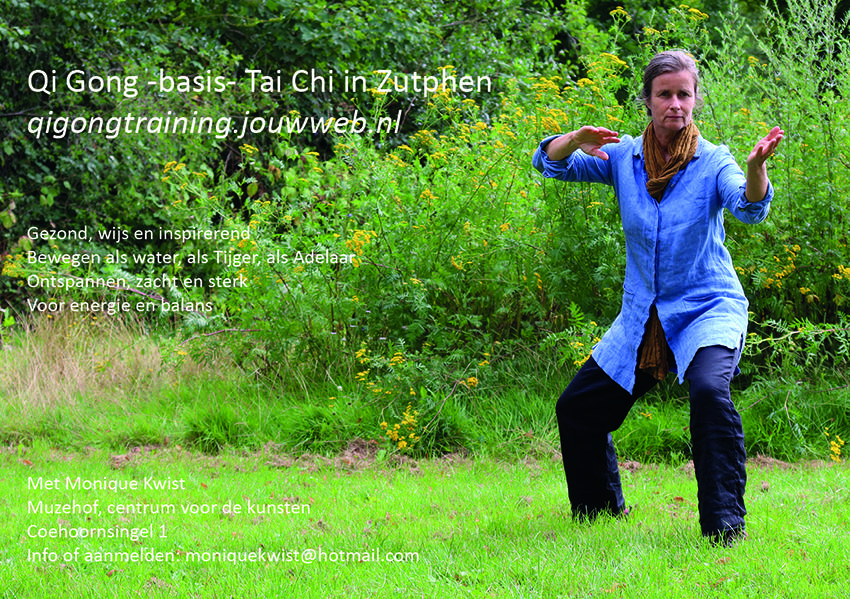 Qi Gong basis Tai Chi cursus — foto 1