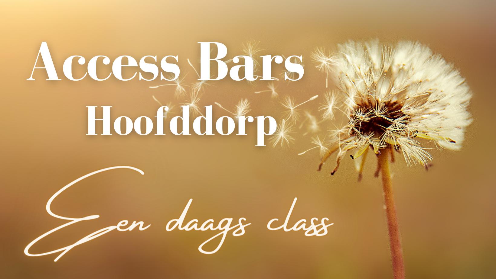 Access Bars Class/cursus Hoofddorp — foto 4