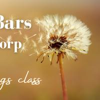 Access Bars Class/cursus Hoofddorp