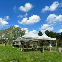 Zomercursus beeldhouwen op fort maarsseveen