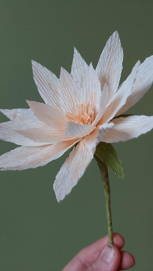 Moederdag workshop papieren bloemen — foto 5