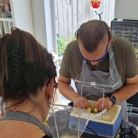 Tiffany workshop glas in lood