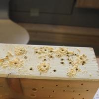 Klussen in huis voor beginners