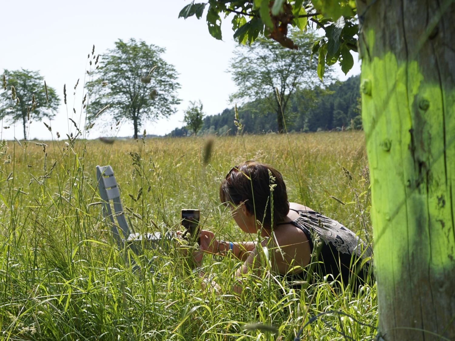 Workshop fotograferen met je mobiel — foto 5