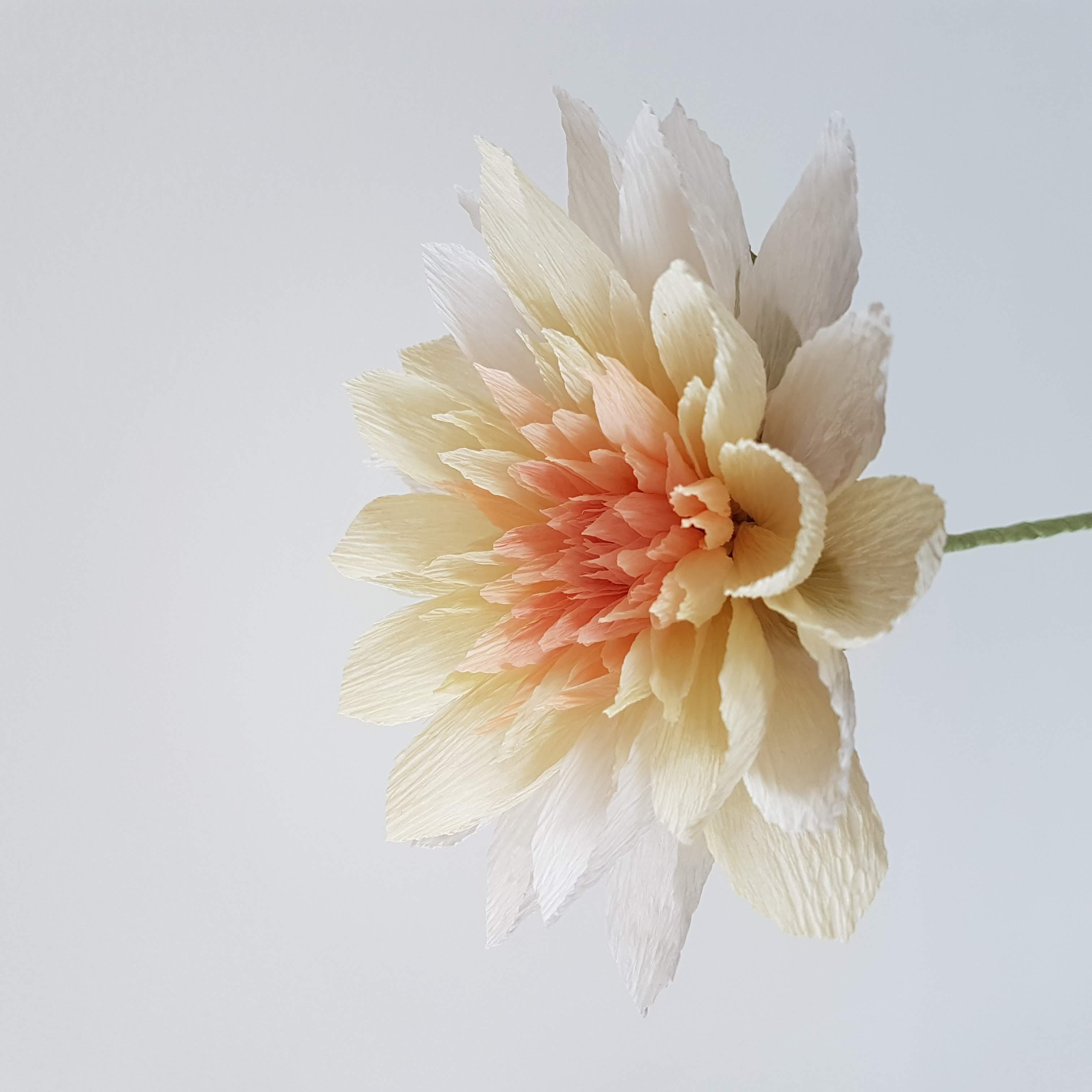 Papieren bloemen maken — foto 2