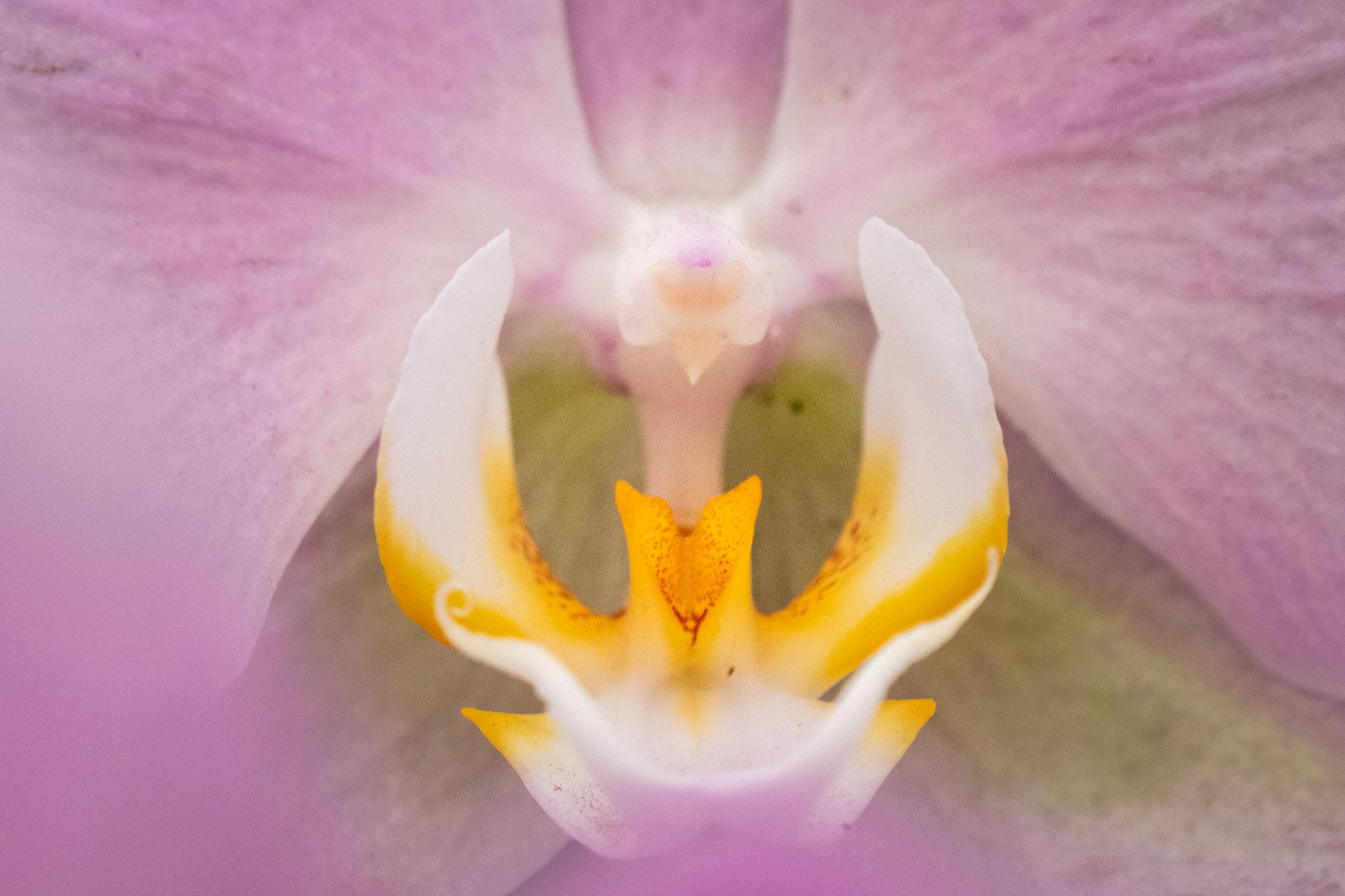 Fotoworkshop Macro en Beleef — foto 3