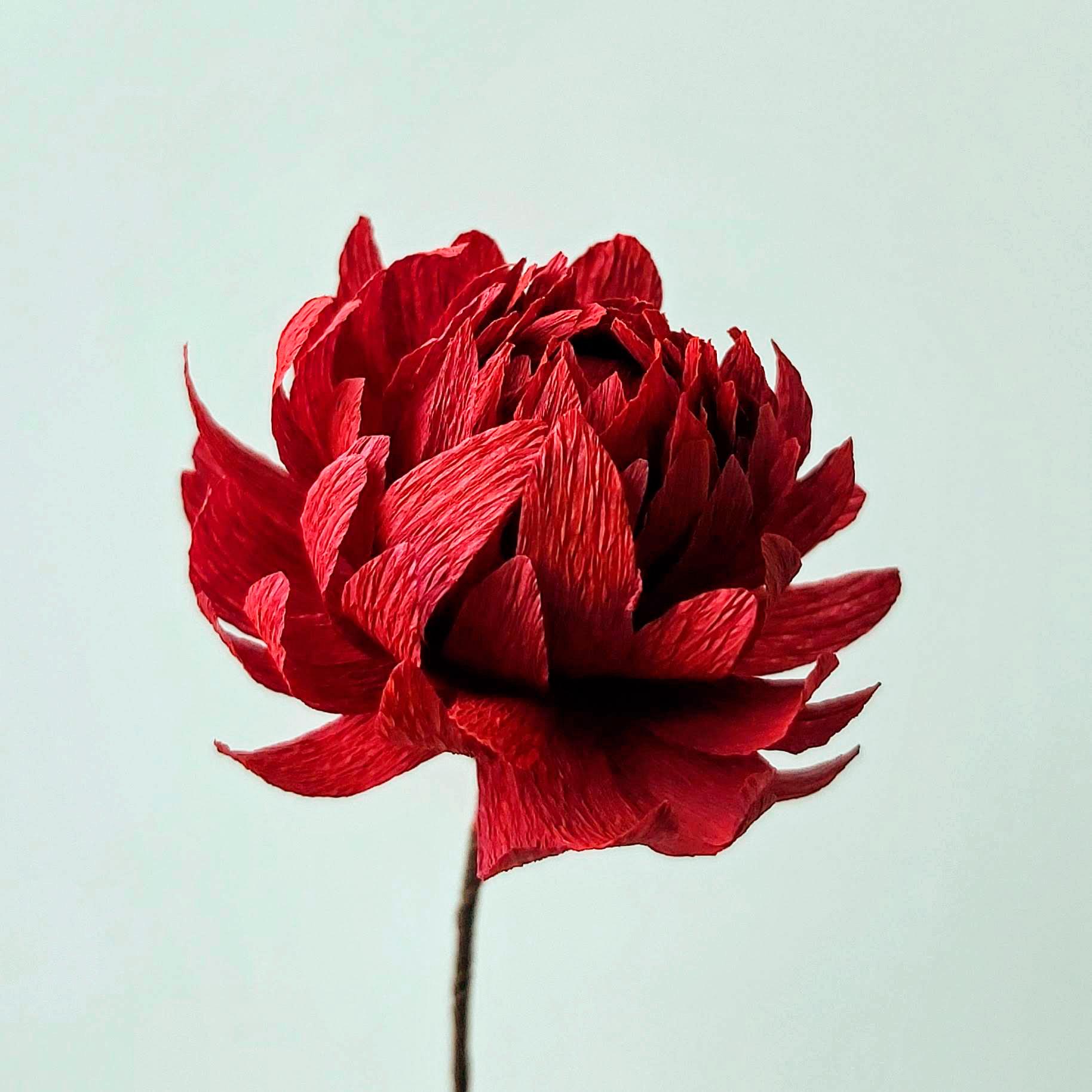 Workshop papieren bloemen GEVORDERDEN — foto 1