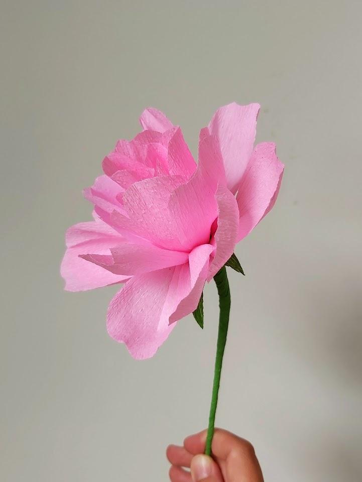 Workshop papieren bloemen — foto 1