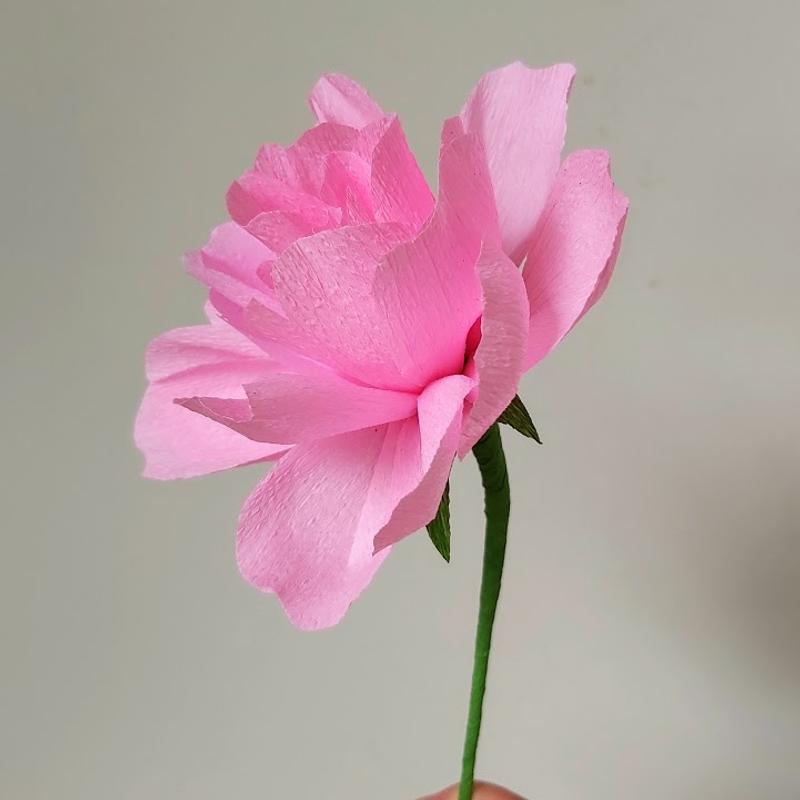 Workshop papieren bloemen