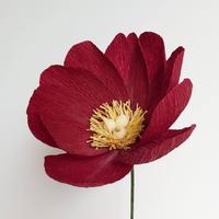Workshop papieren bloemen BASIS
