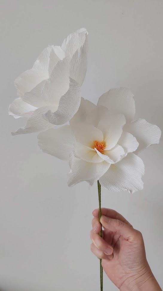 Workshop papieren bloemen GEVORDERDEN — foto 2