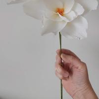 Workshop papieren bloemen GEVORDERDEN