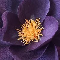 Workshop papieren bloemen GEVORDERDEN