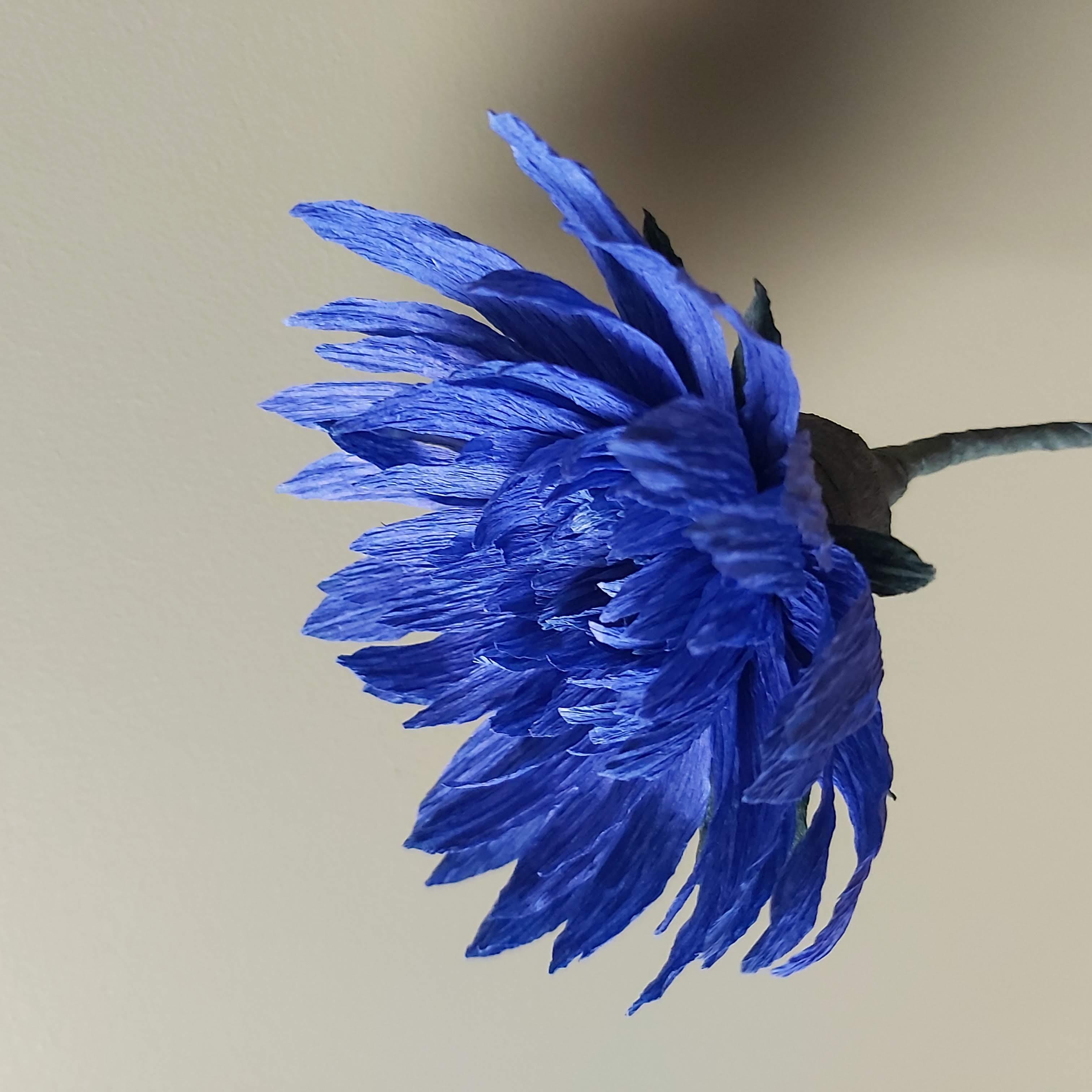 Workshop papieren bloemen GEVORDERDEN — foto 1