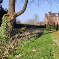 Beeldhouw 4-daagse