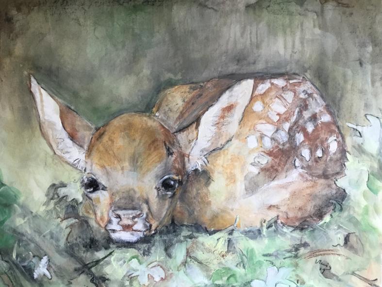 Dieren tekenen met houtskool en krijt — foto 3