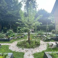 Kruidenworkshop: Kruidenthee maken