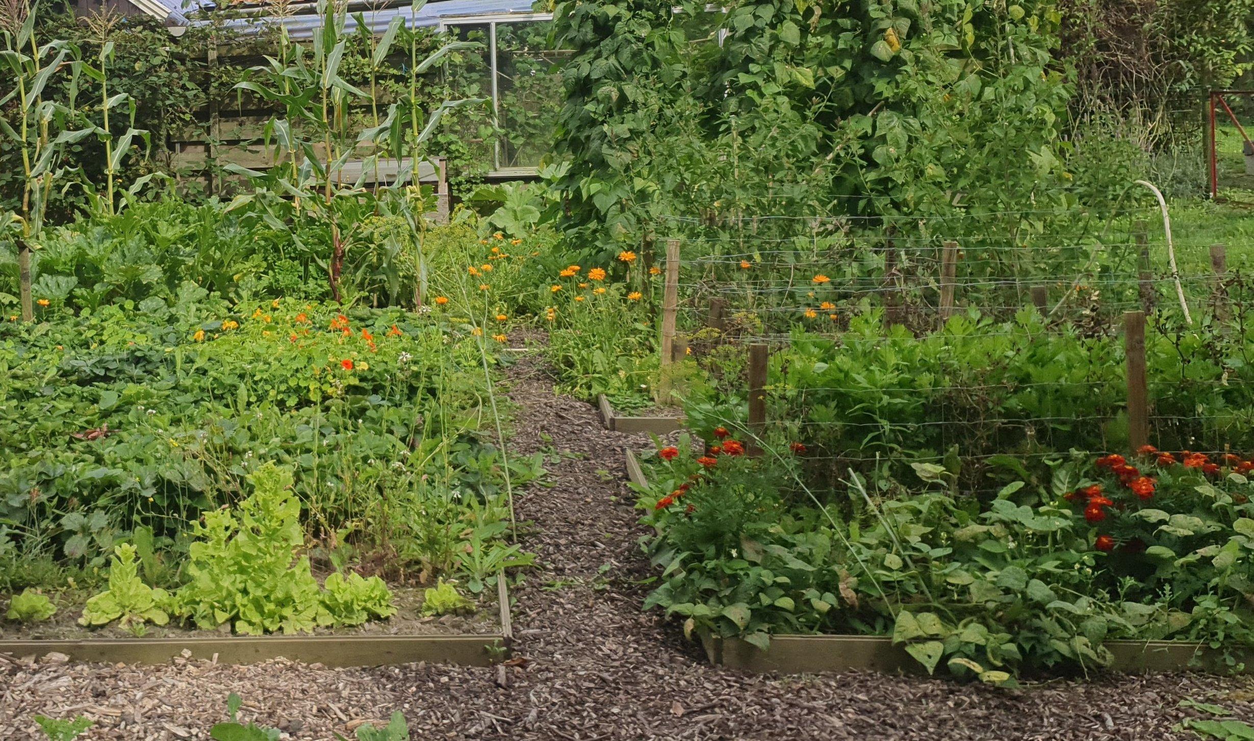 Cursus Ecologisch moestuinieren — foto 3