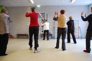 Tai Chi Tao Introductieles Witte Vlinder — foto 1