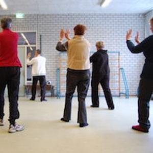 Tai Chi Tao Introductieles Witte Vlinder