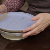 Online cursus - Handopbouw