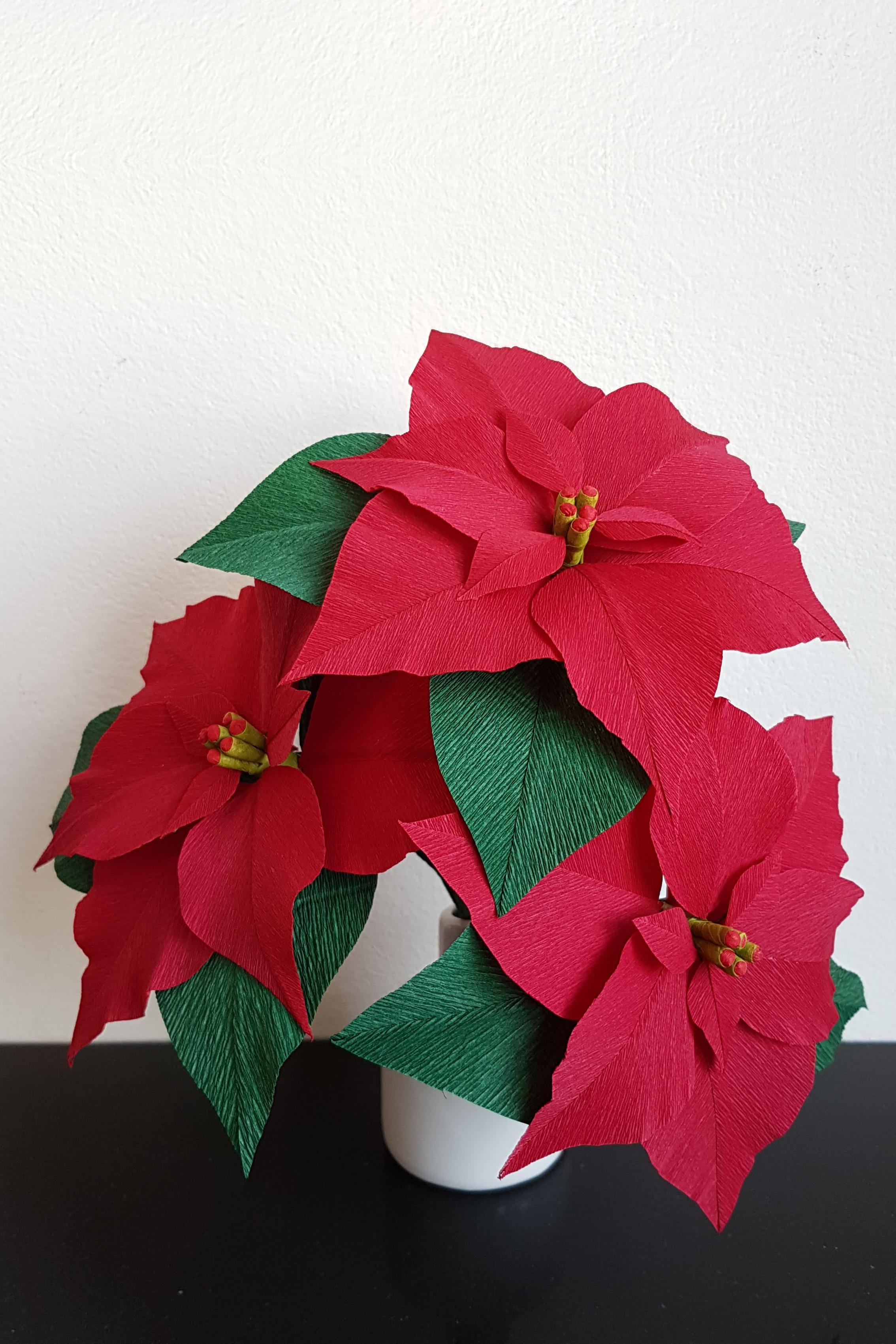 Workshop Poinsettia van Crêpepapier — foto 2