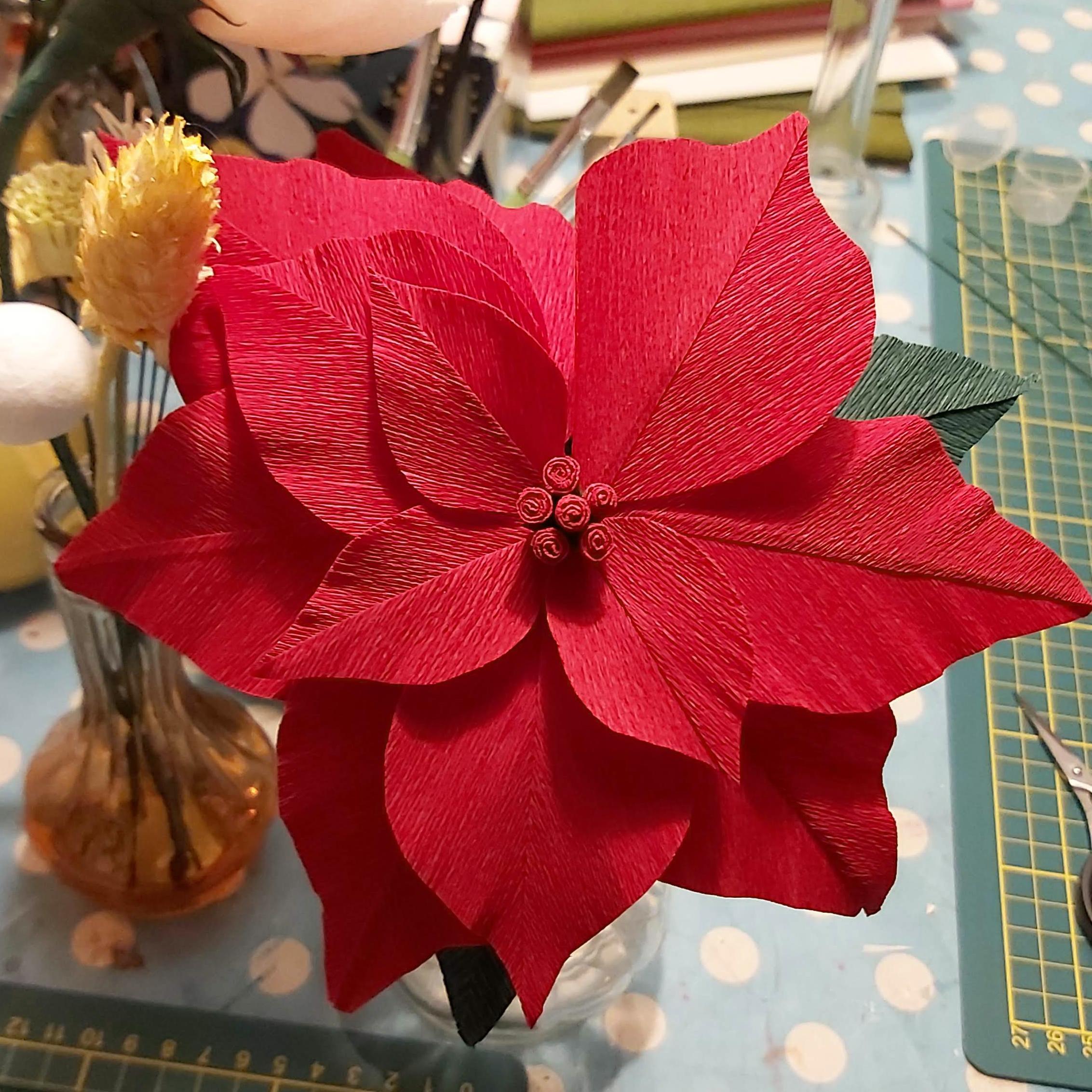 Workshop Poinsettia van Crêpepapier — foto 1
