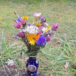 Kruidenworkshop: het juiste kruid kiezen